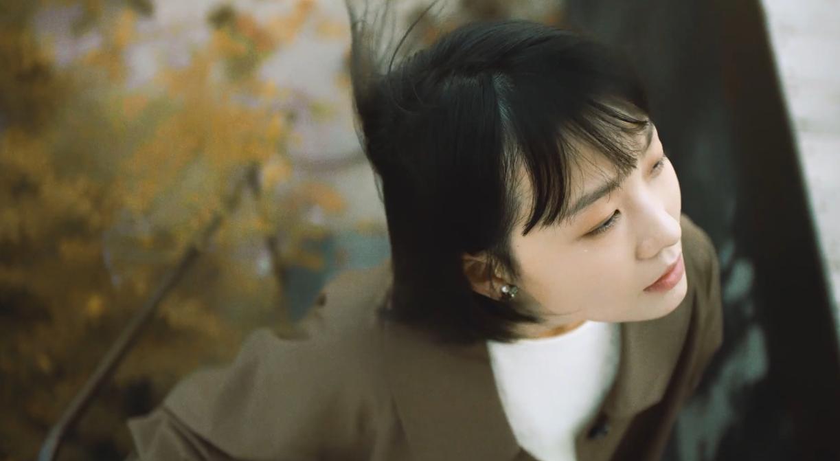 东方树叶15秒视频,东方树叶的绿茶是浓缩的吗