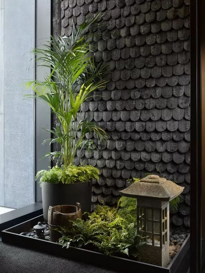 室内做的景观,室内景观打造过程