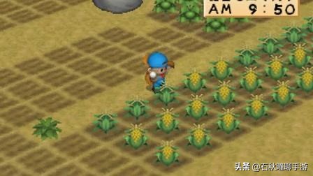 牧场物语最全攻略,牧场物语攻略经典