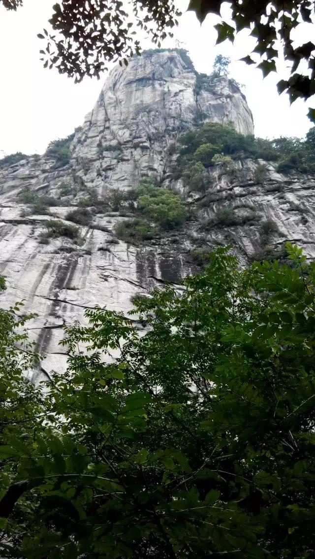 椴佸北灏у北鏆撮洦,椴佸北灏у北閲戦《