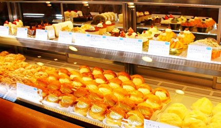 旭川机场,旭川机场到东京机场