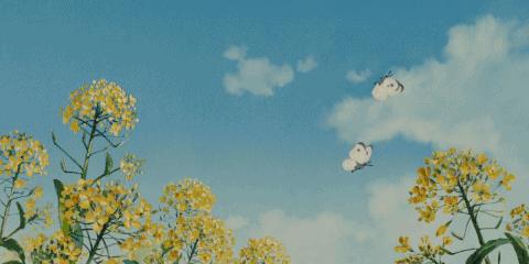 眉县花开的地方,眉县槐芽镇踏青赏花