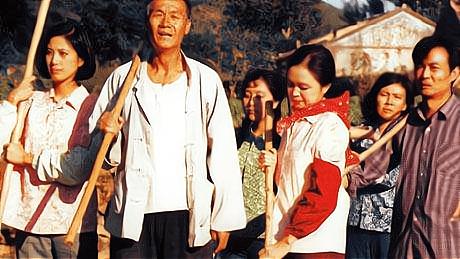 篱笆女人和狗的爱情,篱笆女人和狗哪个重要