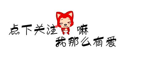 这6种狗很危险,这6种比熊犬不能买再喜欢也不行