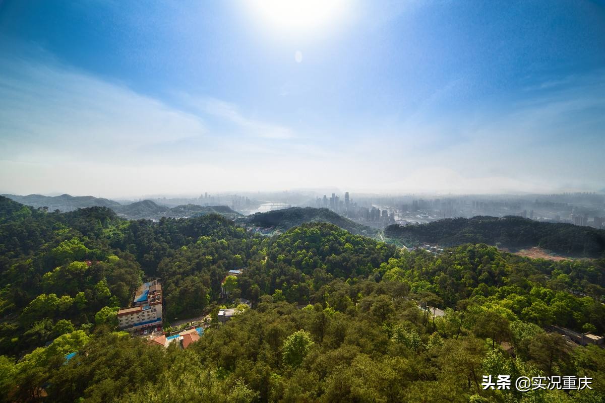 涓轰粈涔堝崡灞卞彂灞曢偅涔堝揩,琚綆浼扮殑鍗楀北鍩庡競