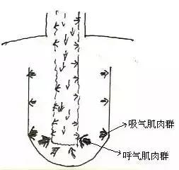 唱歌技巧和发声方法总是学不会,唱歌技巧发声零基础