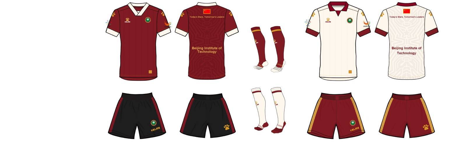 贝隆沙特世界杯,贝隆参加美洲杯