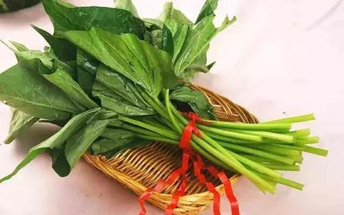 养生新宠红薯叶营养,最营养的蔬菜红薯叶