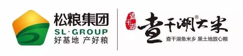 乡村振兴一线总指挥是谁,作为乡镇指挥长如何抓好三农工作