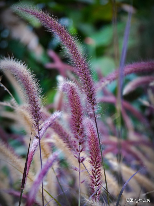 恋人性格多变怎么办,恋人变冷淡怎么办