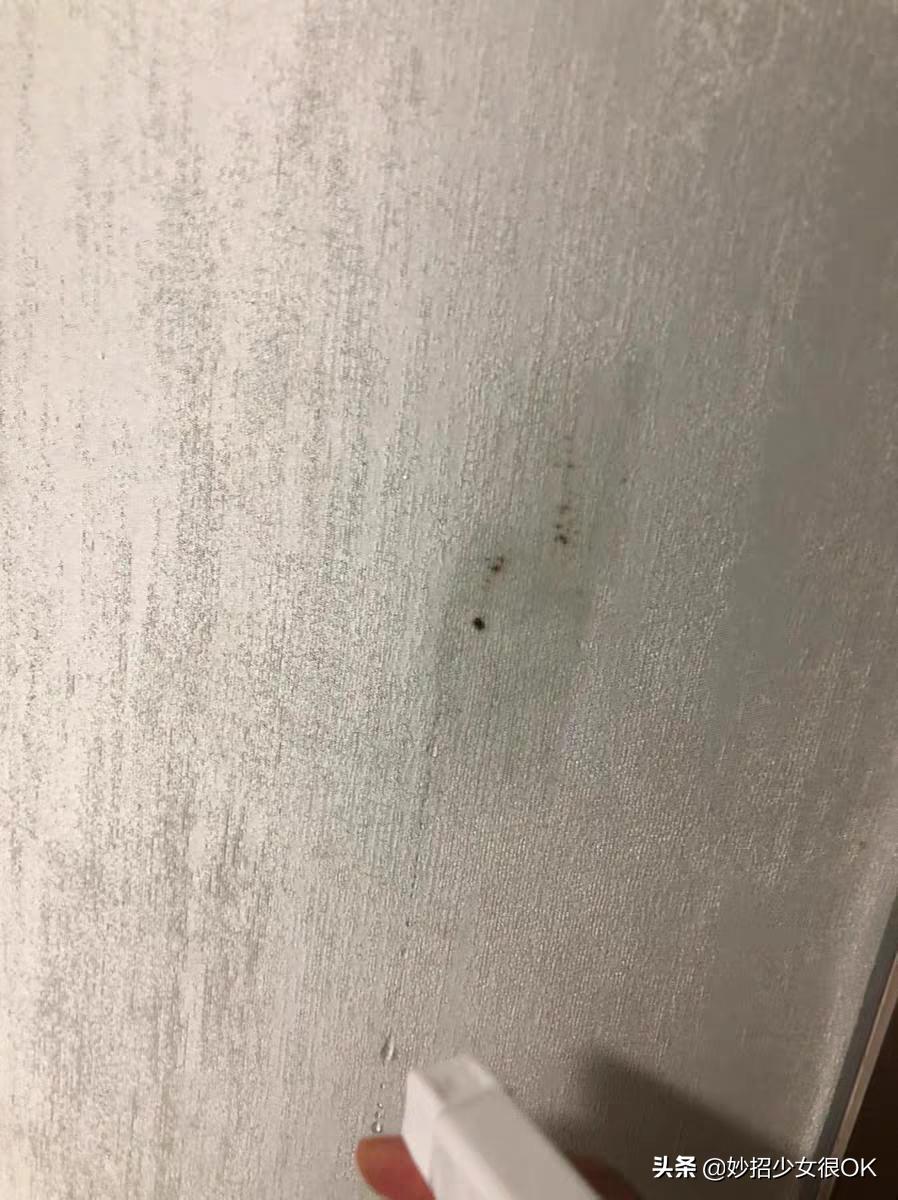 墙纸发霉怎么办5个方法来处理,墙纸发霉彻底解决方法