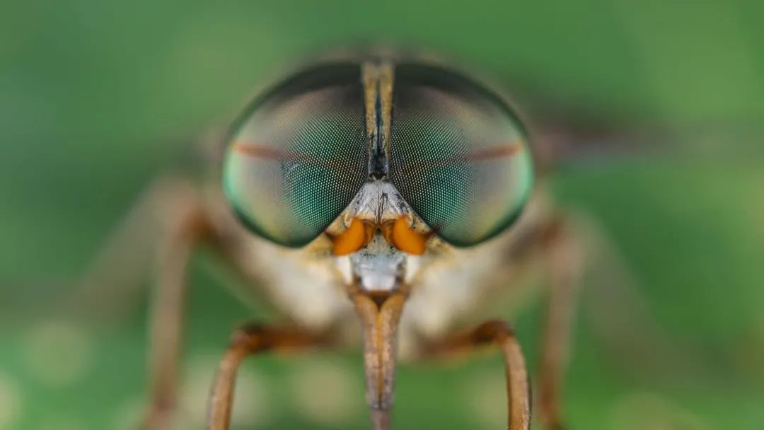 补全相机,高清相机专业镜头