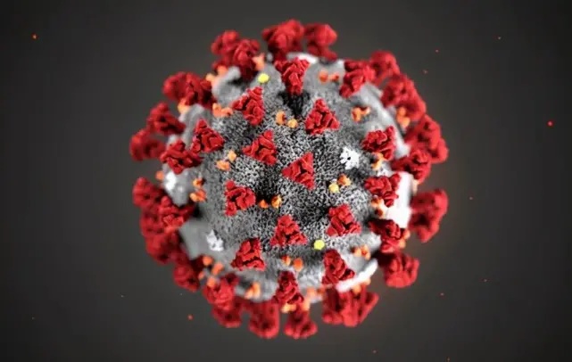 制造丧尸：病毒、*品毒**和寄生虫