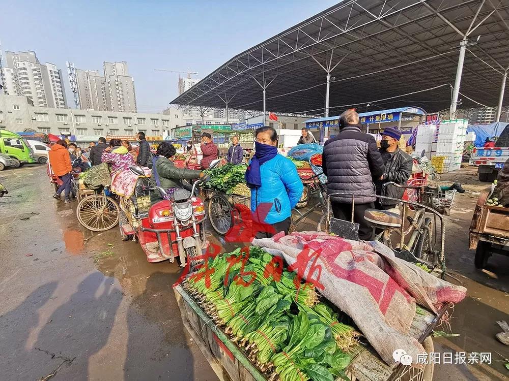 请淡定txt免费,疫情期间咸阳菜篮子