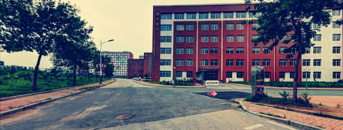 营口理工学院国内排名,营口理工学院全省排名