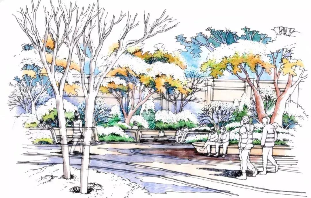 手绘效果图设计详解,干货五幅景观手绘效果图步骤图解