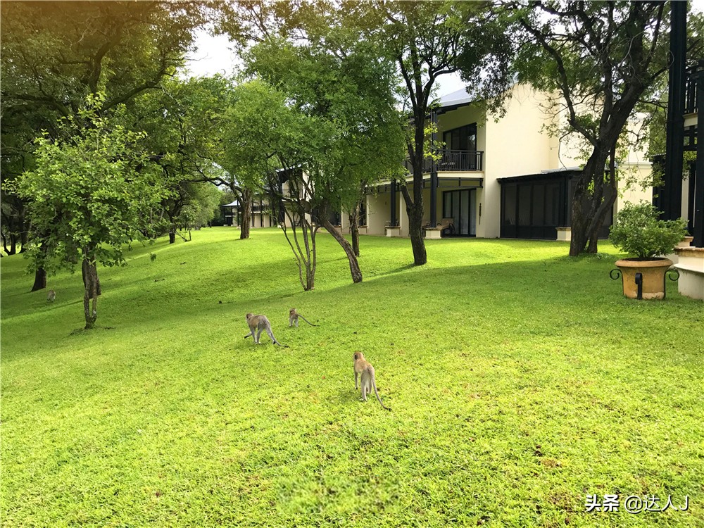 #全民热遗#小天独家，你敢不敢在这个瀑布上洗澡？