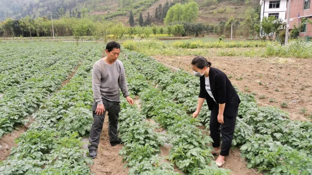 省城下来的实在人——记贵州纳雍左翼河社区第一书记黄瑾