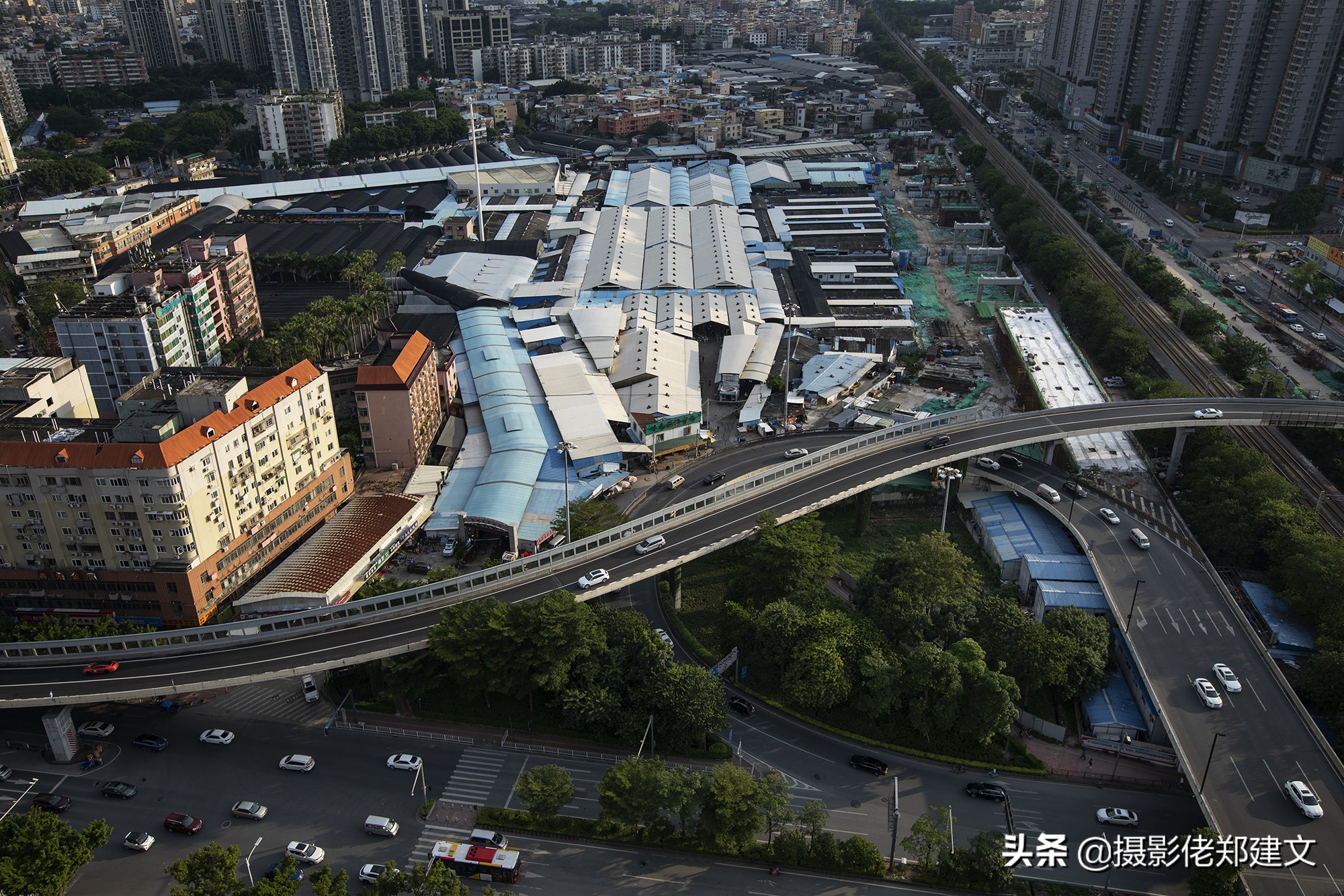 全国最大的鲜花交易市场,岭南花卉市场鲜花从哪里来