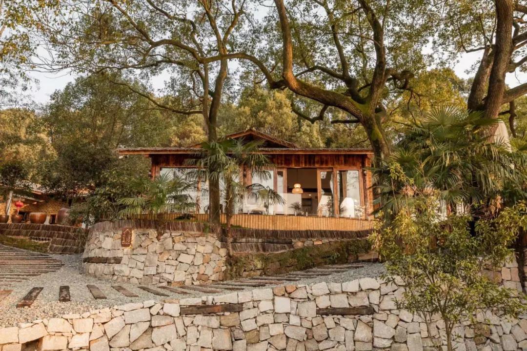 神仙眷侣辞掉高薪工作，爆改废弃山谷，造无边恒温泡池，全景树屋