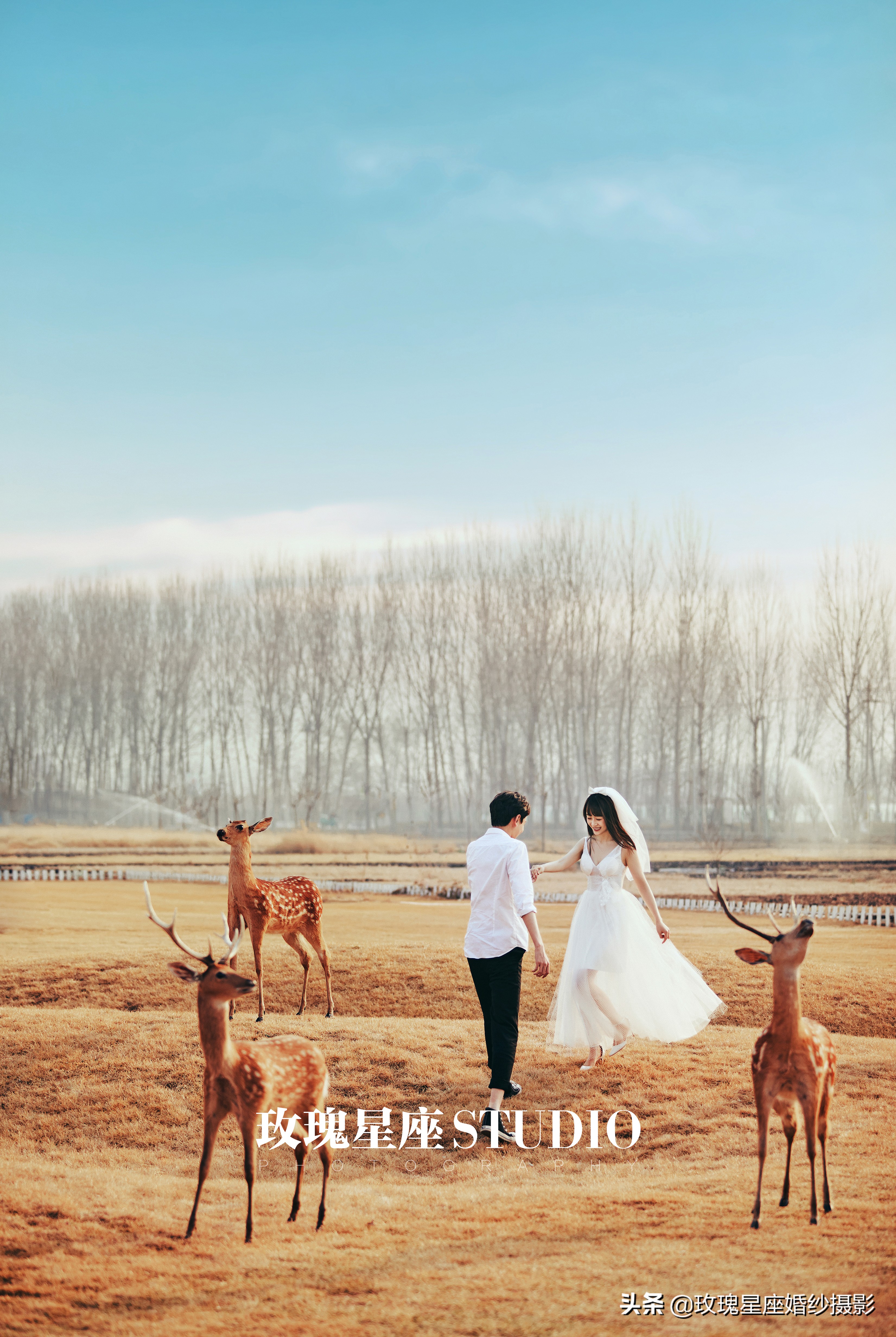 婚纱照都怎么拍最合适,拍婚纱照自己怎么拍才能好看呢