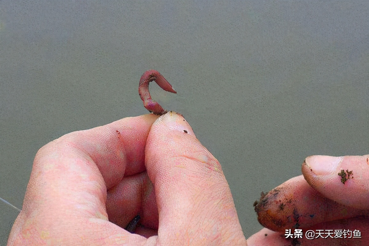 冬季钓鱼的五个干货技巧,冬季钓鱼如何让鱼获翻倍