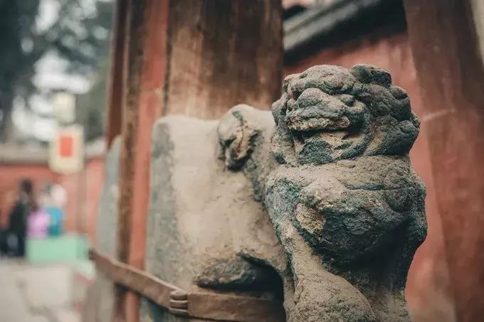 韩城古城生活,韩城也是很美的一座城