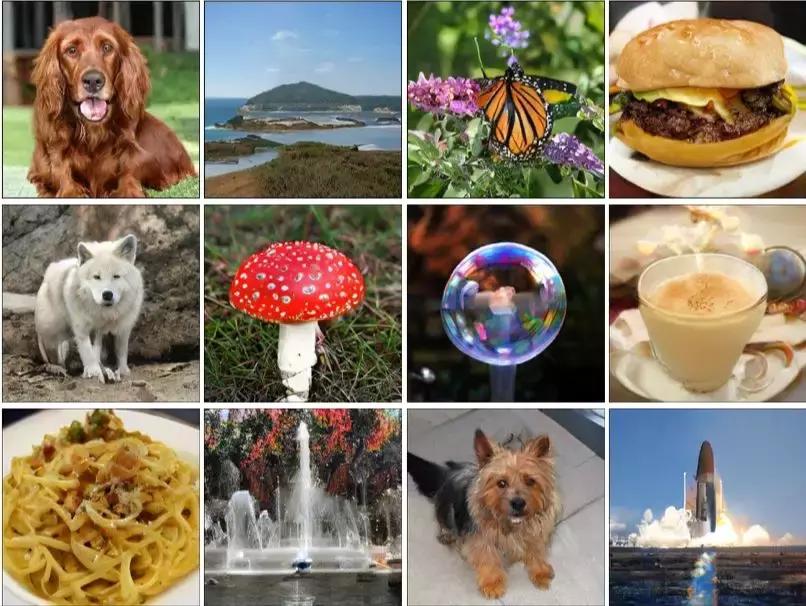 史上最强图像生成器BigGAN变身DeepGAN？四倍深度实现更强效果