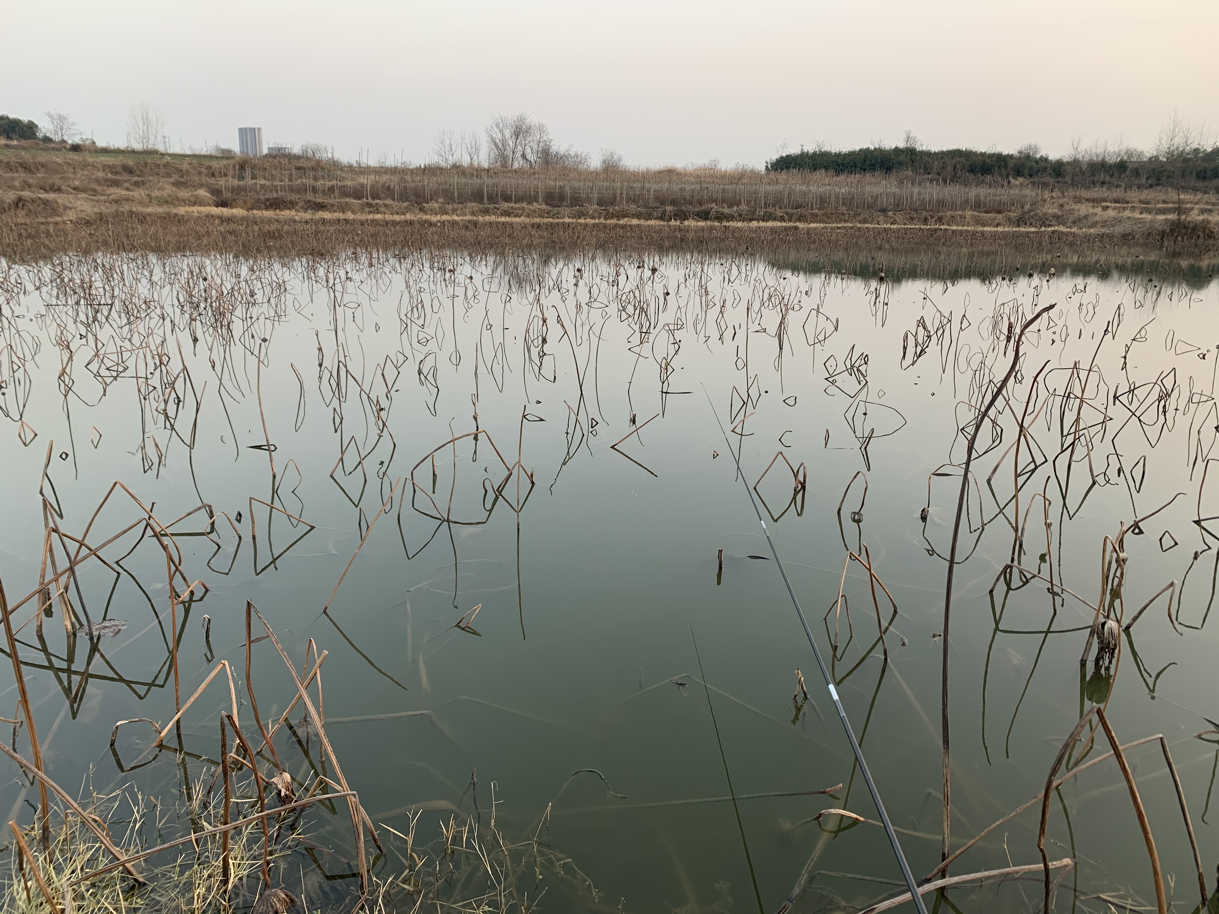 野钓打窝三个目的,野钓常用的3种打窝方式