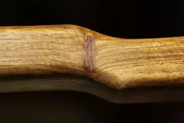 国标红木29种高清图,29种国标红木排名及价格