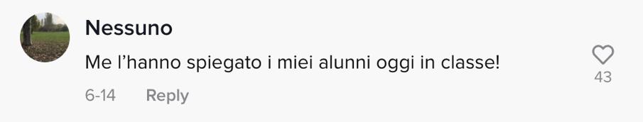 tiktok意大利小哥,意大利华裔中国美食