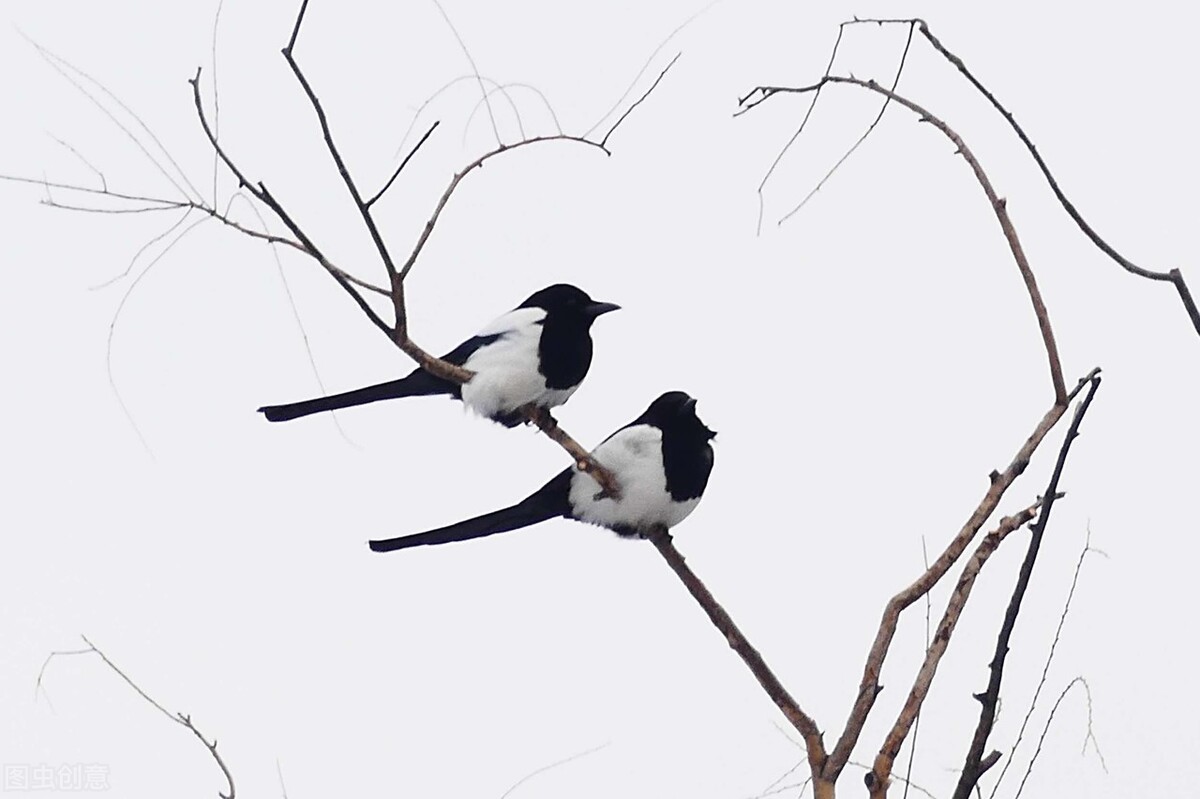 人要识时务不为过,人一定要识时务者为俊杰