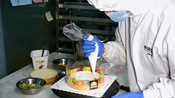 人均不到10元！买蛋糕送“熊猫”！火遍全国的网红蛋糕来啦