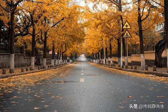 青岛超适合打卡的古风小镇,青岛西海岸美术馆网红打卡地