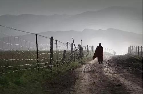 摄影专用题材推荐,初学摄影必备十大题材