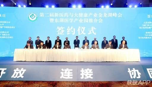 徐州2024年重大产业项目,徐州市2024重大产业项目建设