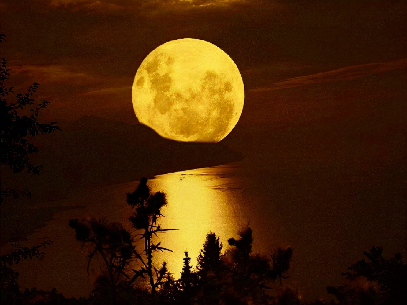 中秋节送礼有什么讲究和忌讳,中秋节送礼有什么禁忌吗