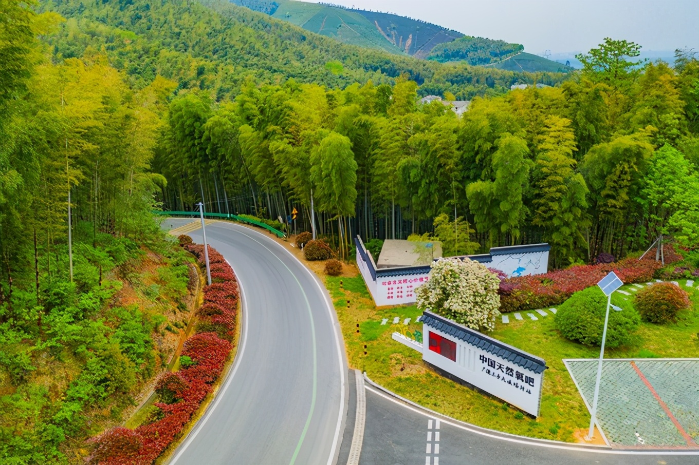 广德自驾游最佳的地方有哪些,自驾从广德到上海的最佳方案