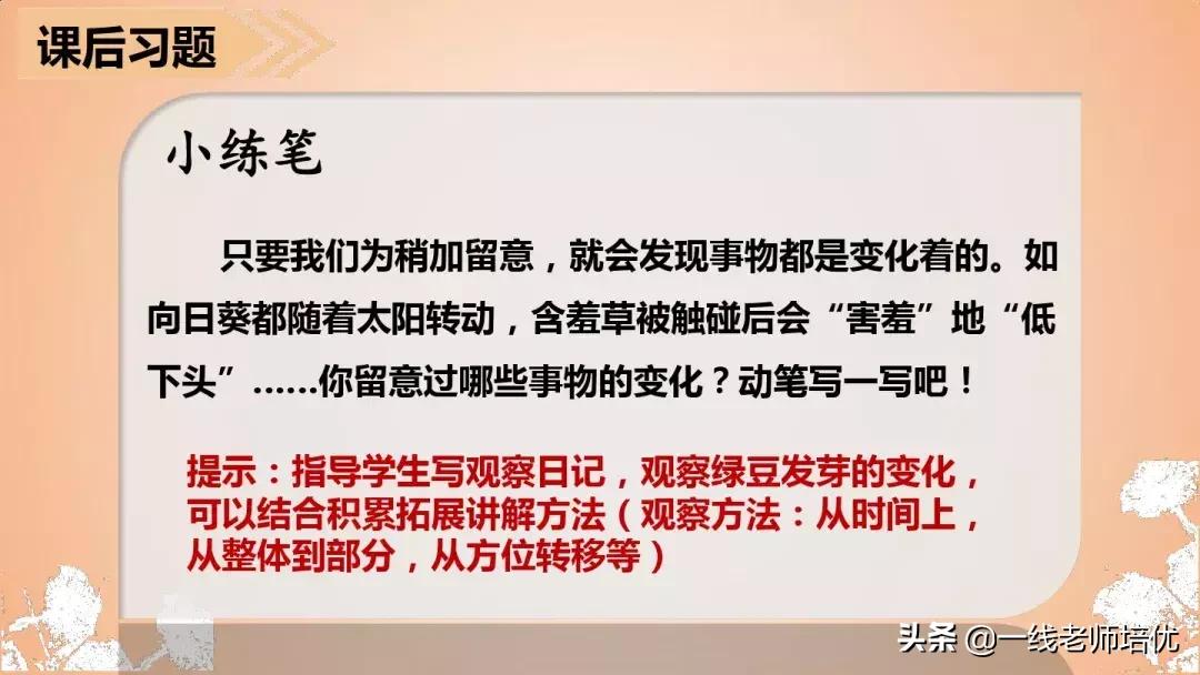 三年级语文金色的草地展现了什么,语文三年级上金色的草地课文讲解