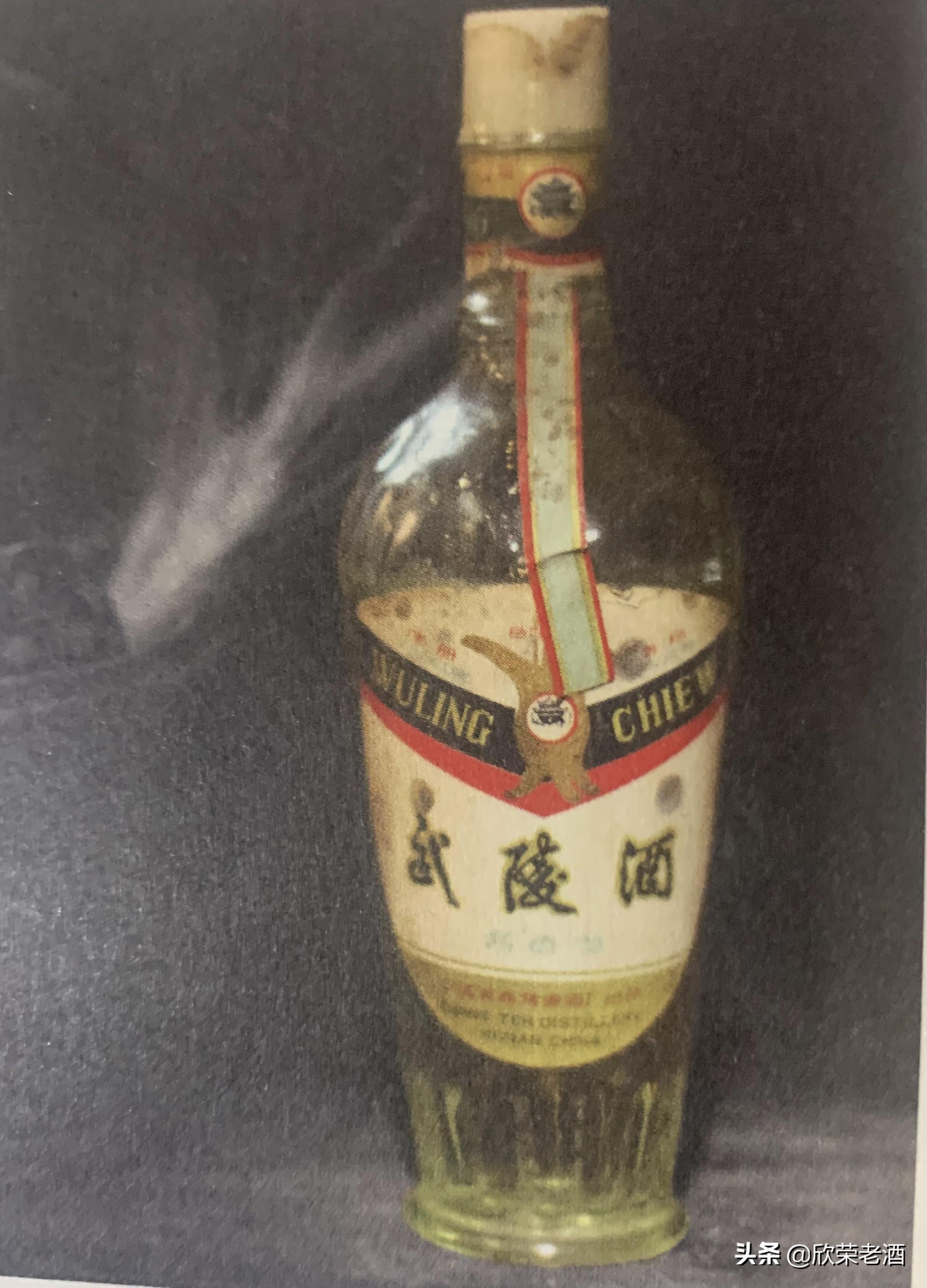 陈年老酒收藏品鉴2009年,十大收藏名酒小酒版