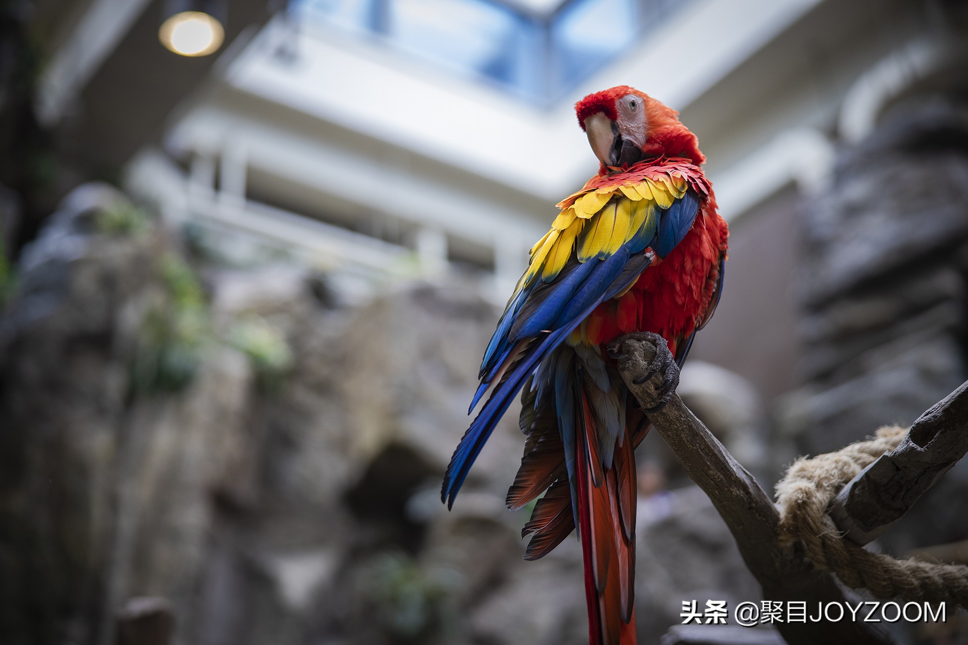 佳能rf28-70f2.8深度评测,佳能rf28-70f2.0什么时候发布的