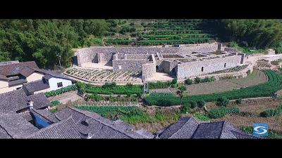 有着双重人生的小城青田，你对它的实力一无所知