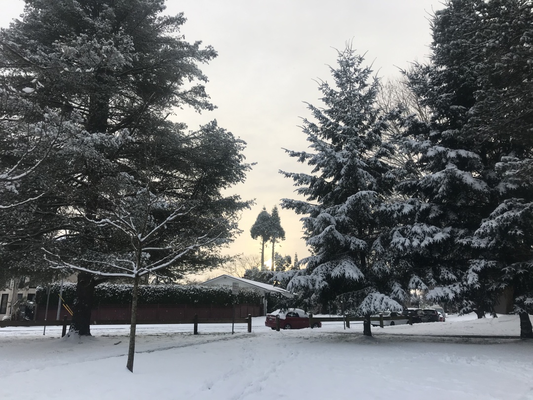 可以不爱但是不要做没有良心事情,面对自己不爱的工作