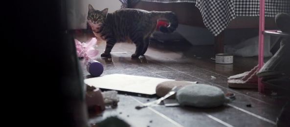 封城之后的武汉，都在这部纪录片里了