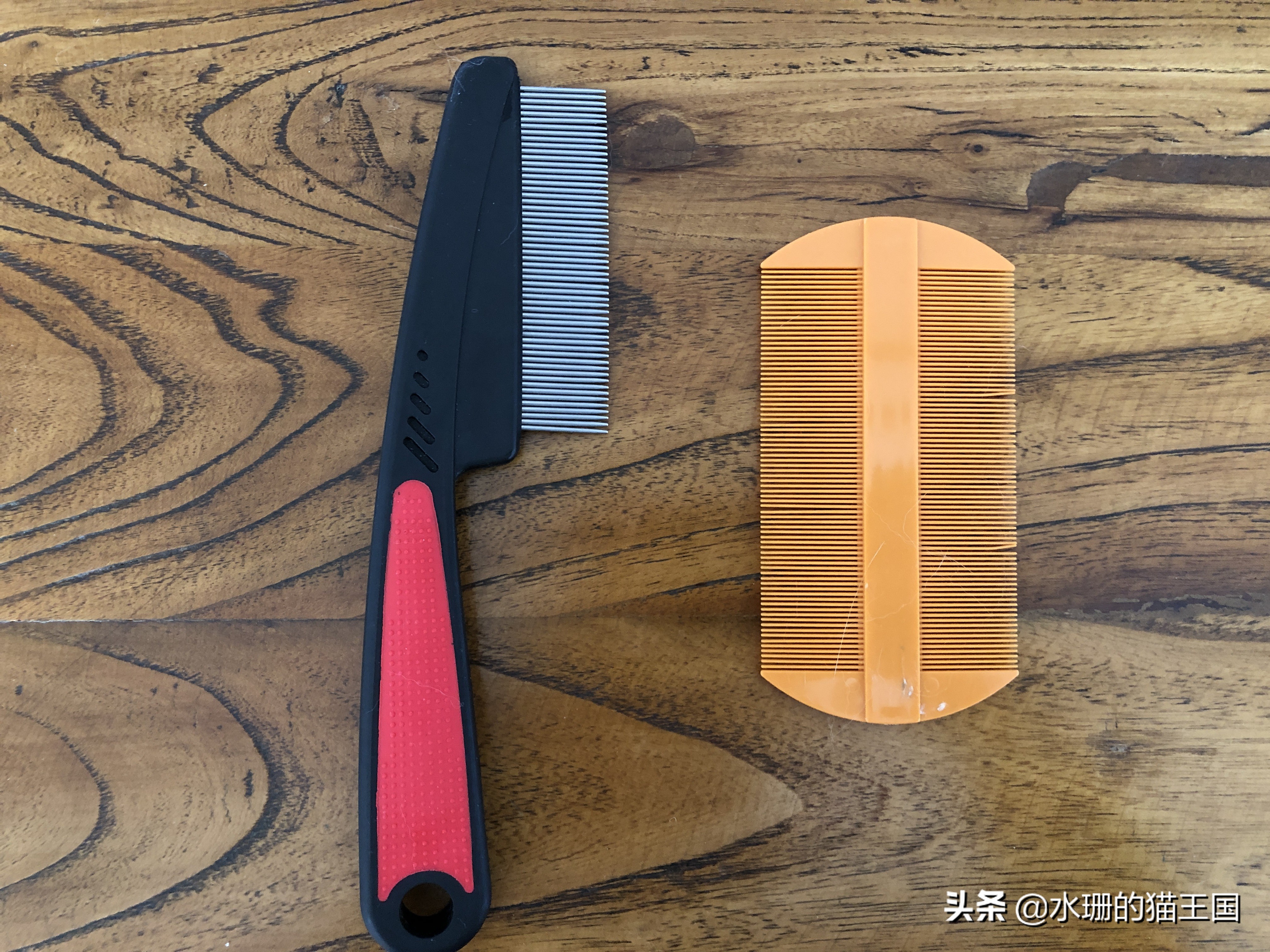 哪款梳子梳猫毛最好用,猫梳子推荐排行榜