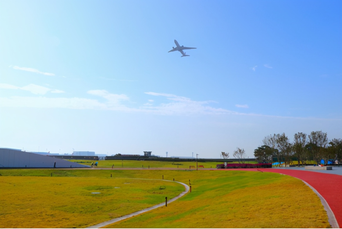双流空港花田看飞机降落最佳地点,双流空港花田最佳位置看飞机