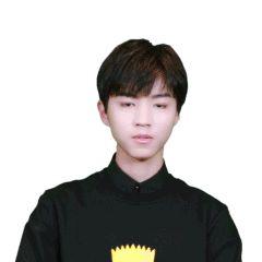 wildfieldhealth牌子如何,wildfieldhealthcare