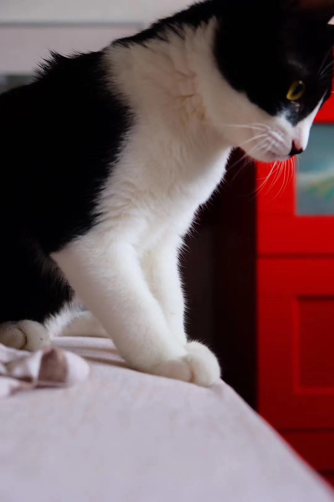 和卡卡的第一次合作,和卡卡相遇