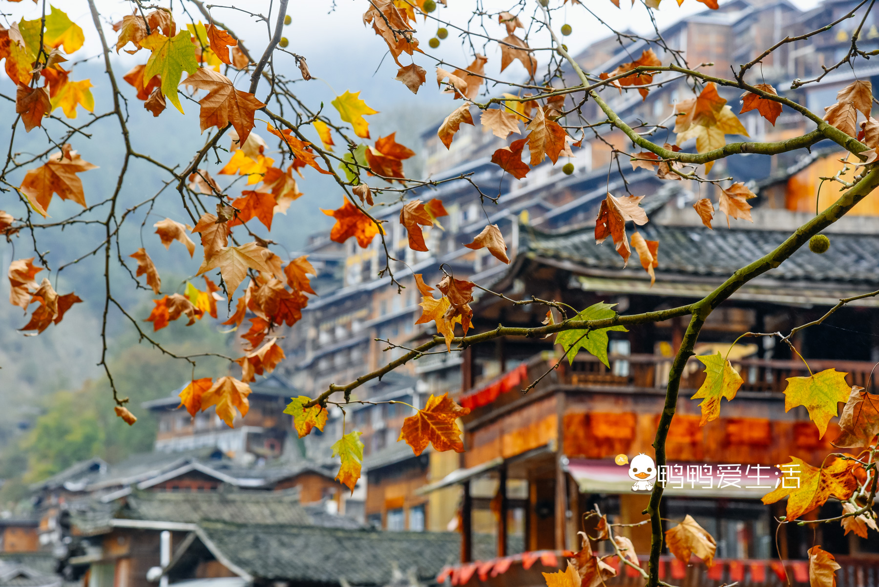 匆匆忙忙的行程,匆匆游览一个景点