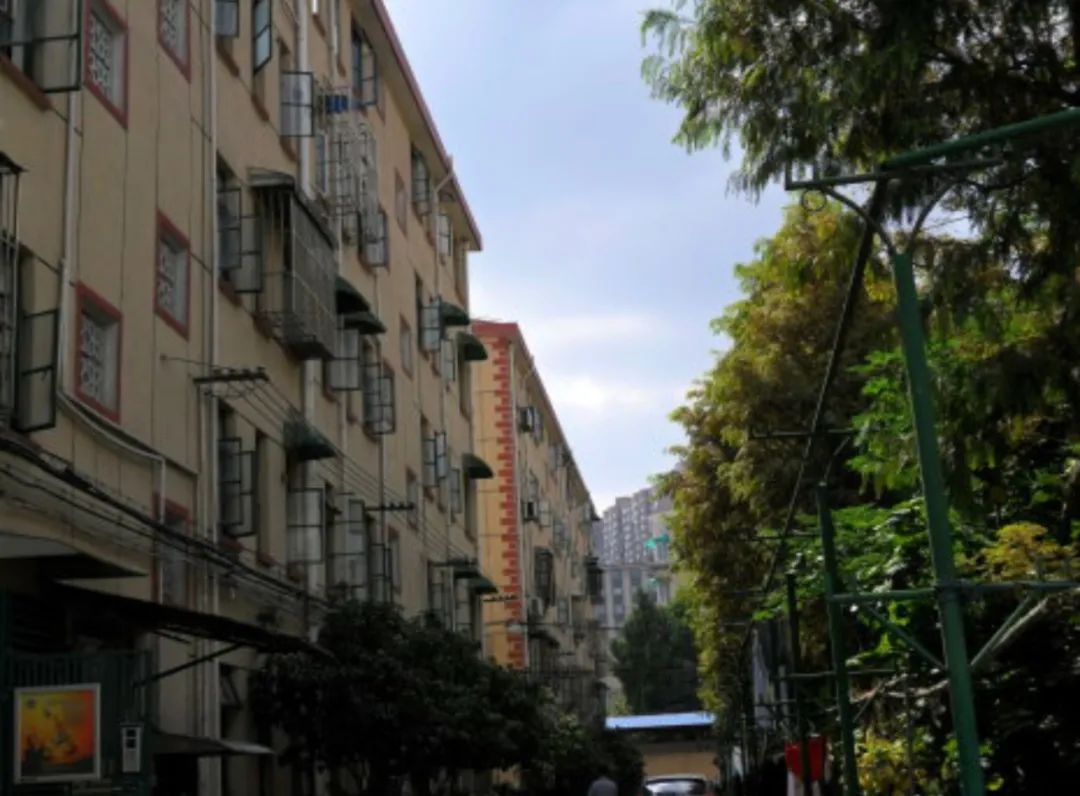 复旦系再添猛将！上海又新建一所九年一贯制！今年就要入户1年了